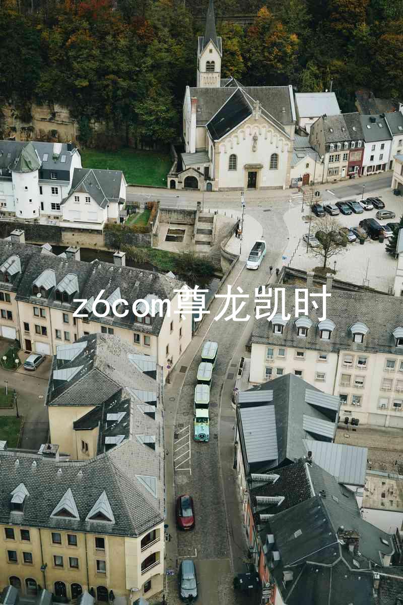 z6com尊龙凯时