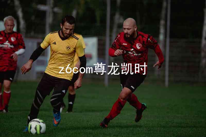 z6com尊龙凯时